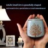 Small Cremation Urns for Human Ashes Adult Male Female - Tree of Life Blue Decorative Urns Mini Pet Urn for Dogs Cats Ashes Keepsake Memorial Box Funeral Set Burial Urns for Cremated Remains Ash Vial - Image 3