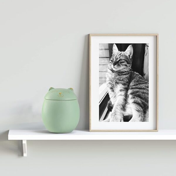 Cat Urn Dog Urn Sized 3.2x2.9 and 4.9x4.25. A Smiley-Cat Pet Urn with a Memoria Card.Cat Urns for Ashes for Your Pet (12 cu/in, Green) - Image 2