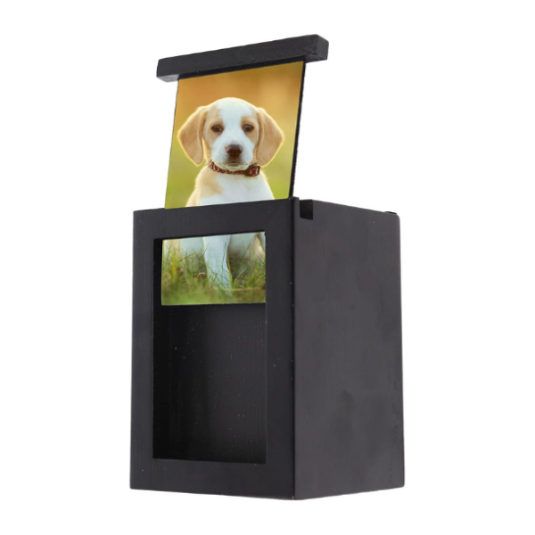 Dog Urn for Ashes,pet urns Wood Boxes Pet Photo Cremation Urn, Pet Urns, Dog Urn,urns for Pets Ashes Dogs,cat urns for Ashes, (Small)…